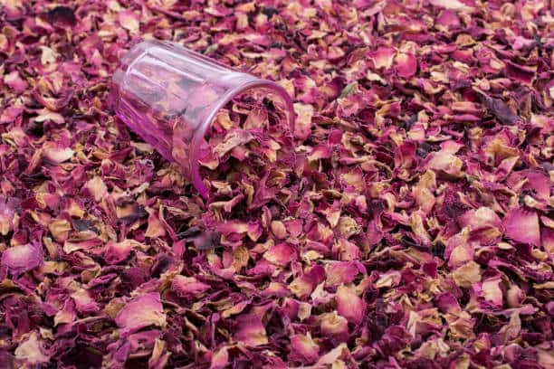 خرید گل سرخ